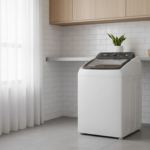 Início lavadora de roupa